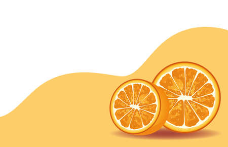 oranges citrus fruits decorative poster vector illustration designのイラスト素材