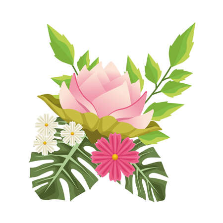 floral background with decorative pink flowers scene vector illustration designのイラスト素材