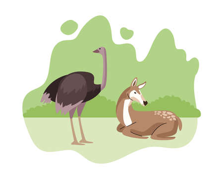 wild ostrich and gazelle animals nature icons vector illustration designのイラスト素材