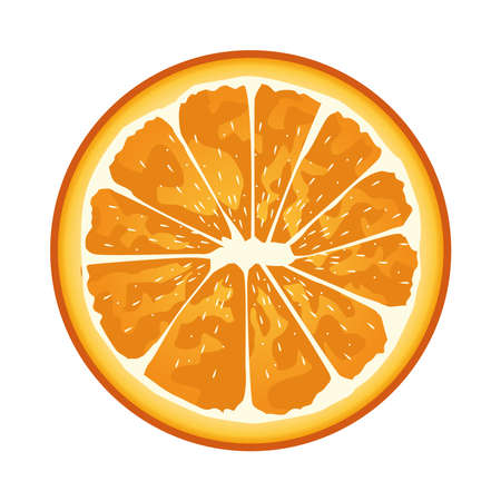 fresh orange citrus fruit icon vector illustration designのイラスト素材