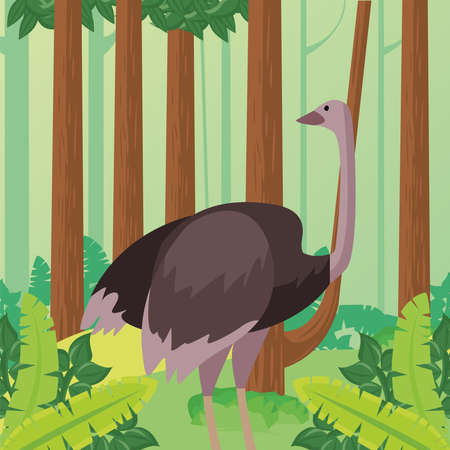 wild ostrich animal in the jungle vector illustration designのイラスト素材