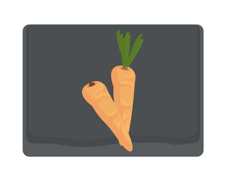 carrot in wooden kitchen board vector illustration designのイラスト素材