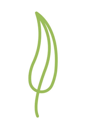 leaf plant nature isolated icon vector illustration designのイラスト素材