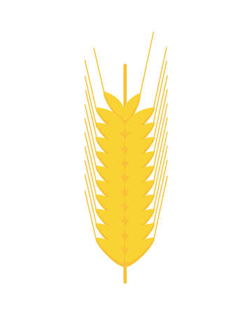 spikes barley nature isolated icon vector illustration designのイラスト素材