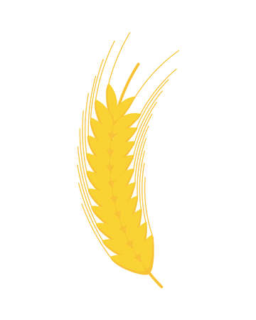 spikes barley nature isolated icon vector illustration designのイラスト素材