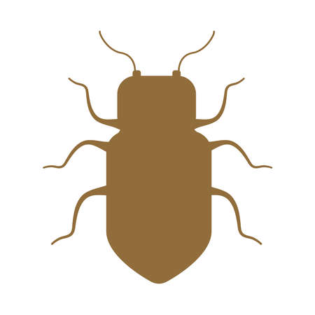 roach insect flat style icon vector illustration designのイラスト素材