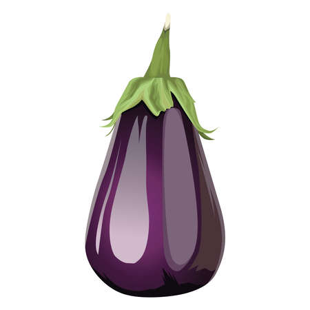 fresh eggplant vegetable healthy icon vector illustration designのイラスト素材
