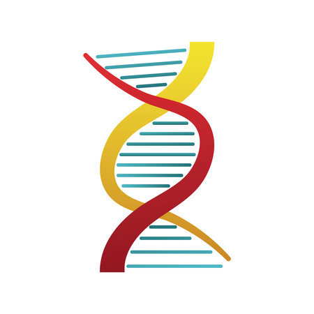 dna molecule structure isolated icon vector illustration design