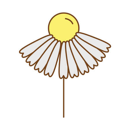 cute flower fill style icon vector illustration designのイラスト素材