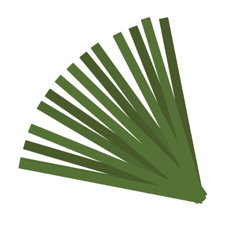 tropical leaf palm nature icon vector illustration designのイラスト素材