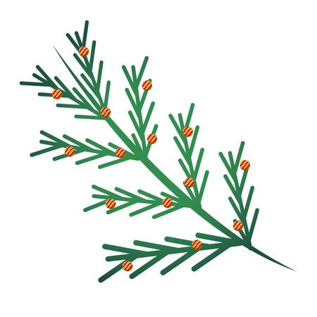 happy merry christmas pine tree branches with firs and balls vector illustration designのイラスト素材