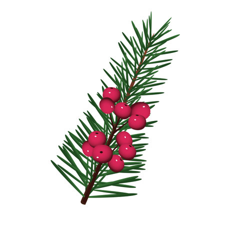 happy merry christmas fir leaf tree with berries icon vector illustration designのイラスト素材