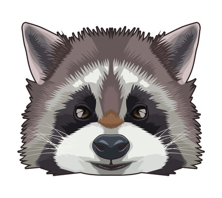 raccoon animal wild head character icon vector illustration designのイラスト素材
