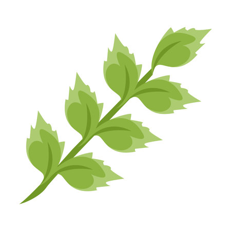 branch with leaves plants nature isolated icons vector illustration designのイラスト素材