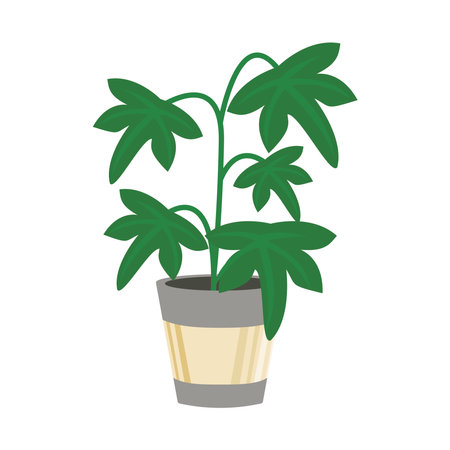 home plant in gray ceramic pot decor vector illustration designのイラスト素材