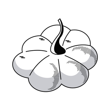 fresh pumpkin vegetable drawn isolated icon vector illustration designのイラスト素材