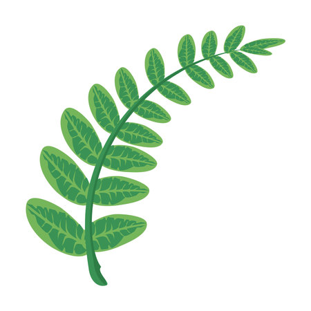 branch with leaves plants green nature icons vector illustration designのイラスト素材