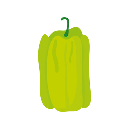 pepper green vegetables healthy food icon vector illustration designのイラスト素材