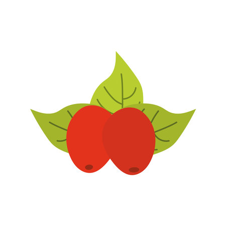 green color leaves and red seeds icons vector illustration designのイラスト素材