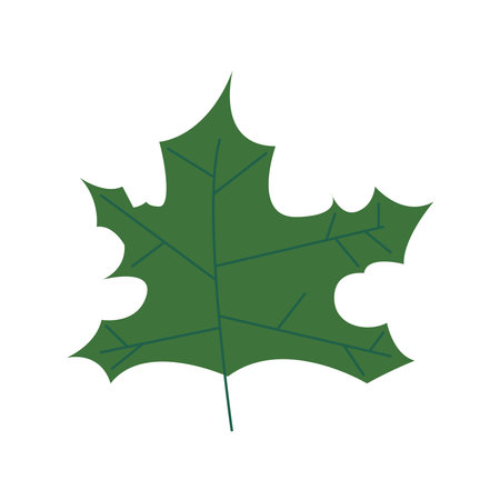 green color leave nature icon vector illustration designのイラスト素材