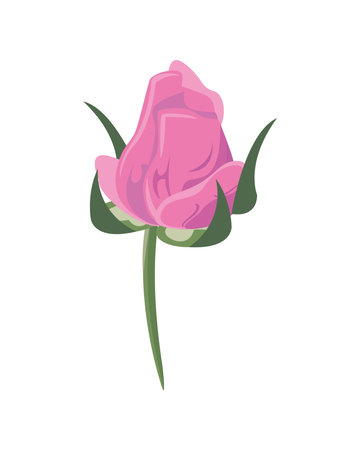 beautiful rose flower pink color decorative icon vector illustration designのイラスト素材