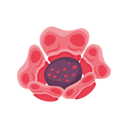 beautiful flower pink color decorative icon vector illustration designのイラスト素材