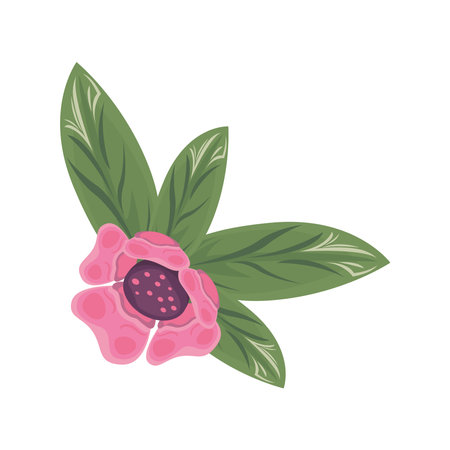 beautiful flower pink color and leafs decorative icon vector illustration designのイラスト素材