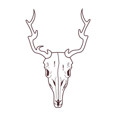 skull head of wild reindeer icon vector illustration designのイラスト素材