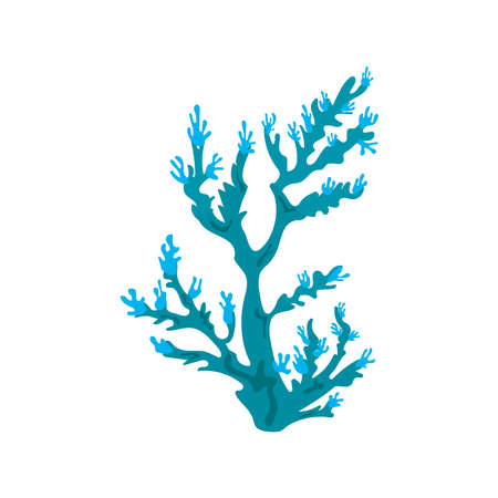 blue coral sea life nature icon vector illustration designのイラスト素材