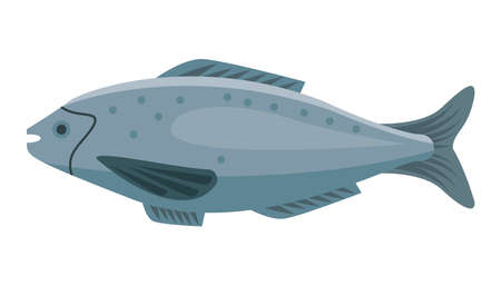 fresh fish food healthy foodのイラスト素材