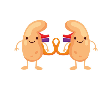 comic organs kidneys human icons