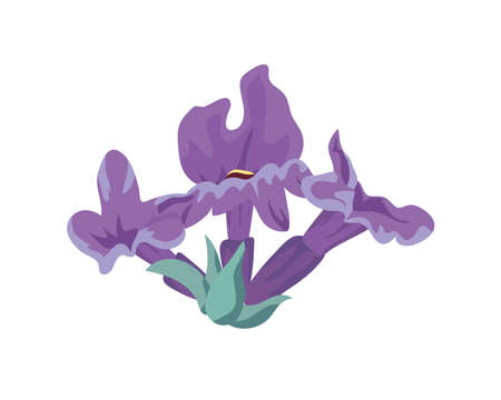 beautiful lavender flowers and leafsのイラスト素材