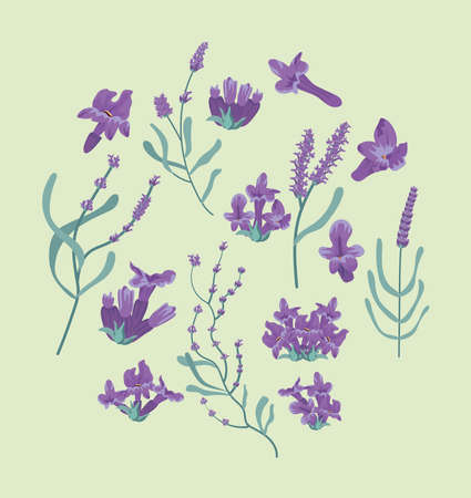 lavender flowers circleのイラスト素材