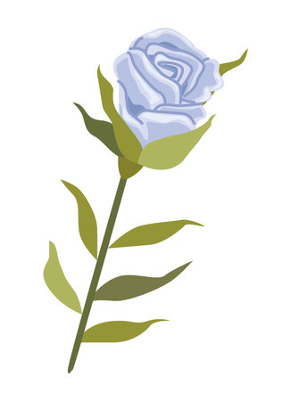 lilac rose spring flowerのイラスト素材