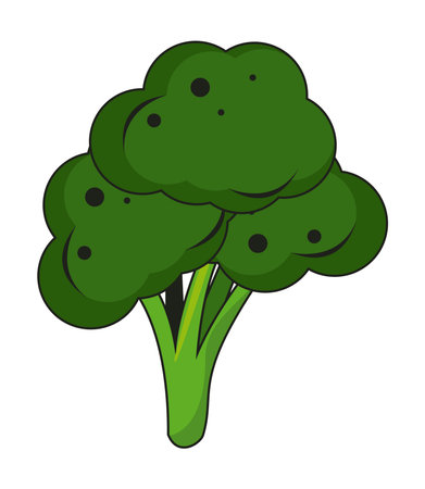 Isolated broccoli vegetableのイラスト素材