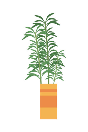 Plant inside orange potのイラスト素材