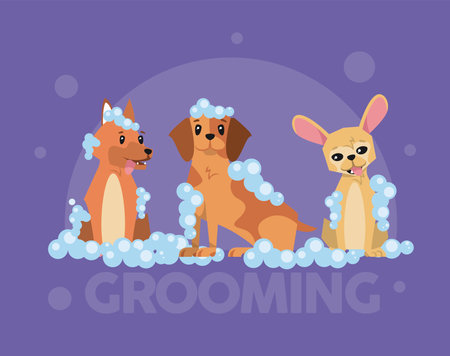 dogs cartoons bathing setのイラスト素材