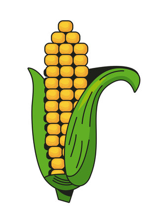 Isolated corn iconのイラスト素材