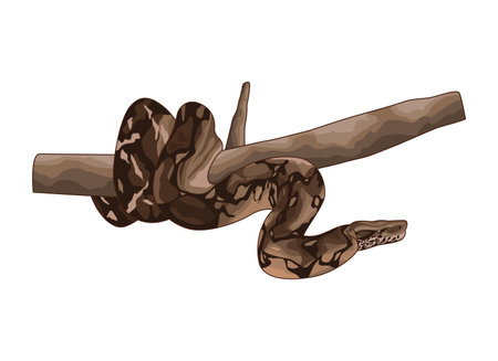 Cute and realistic snake