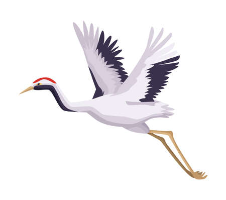 crane japanese birdのイラスト素材