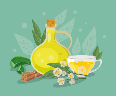 olive oil and home remediesのイラスト素材