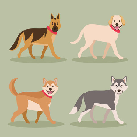 four dogs mascotsのイラスト素材