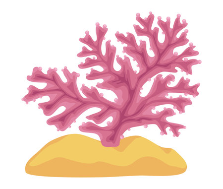 pink seaweed plantのイラスト素材