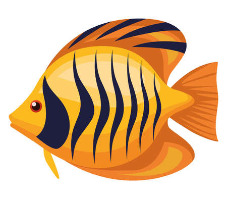 butterfly fish exoticのイラスト素材