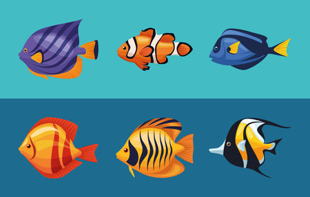 six sealife underwater iconsのイラスト素材