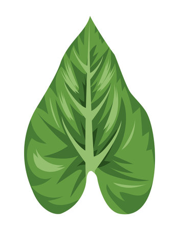 exotic leaf plantのイラスト素材