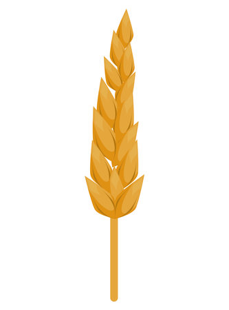 spike wheat goldenのイラスト素材