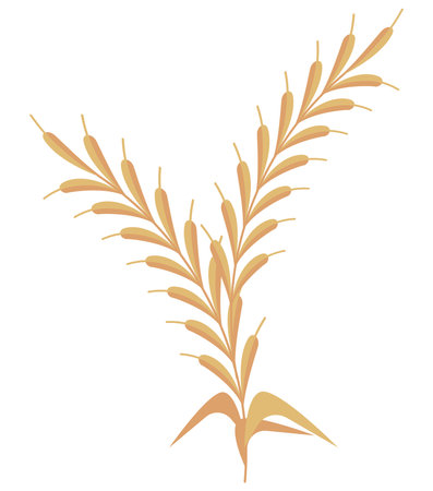 golden wheat spikeのイラスト素材
