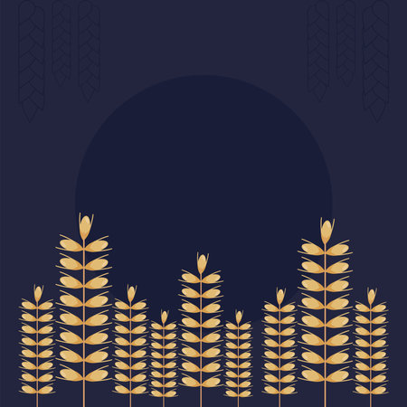 wheat spikes cultiveのイラスト素材