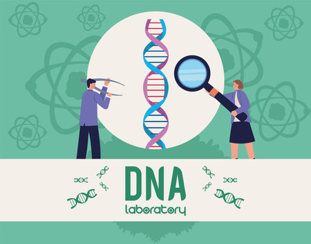 dna laboratory with couple scientistsのイラスト素材